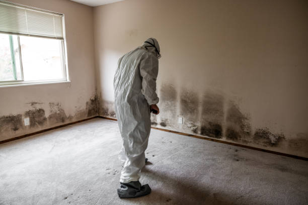 Crawl Space Mold Removal in Berkshire Lakes, FL